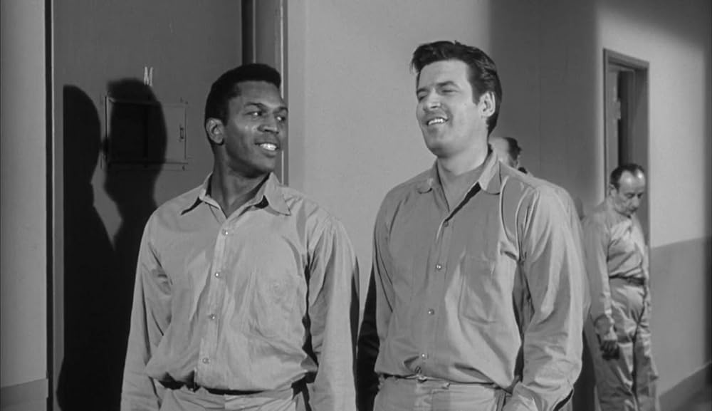 ショック集団の画像