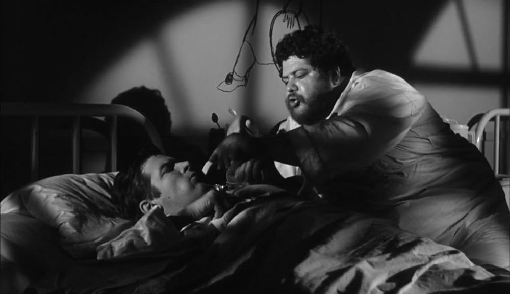 ショック集団の画像