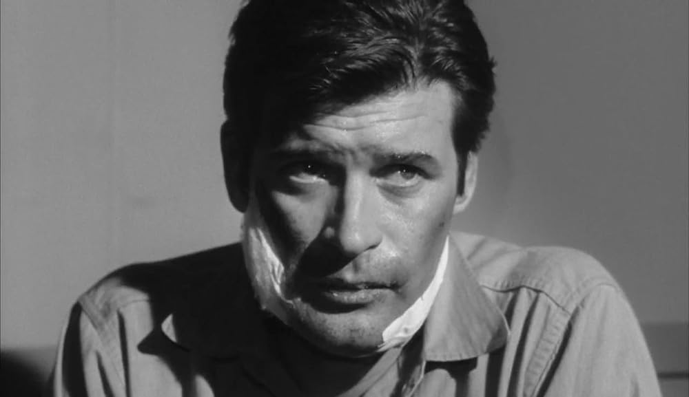 ショック集団の画像