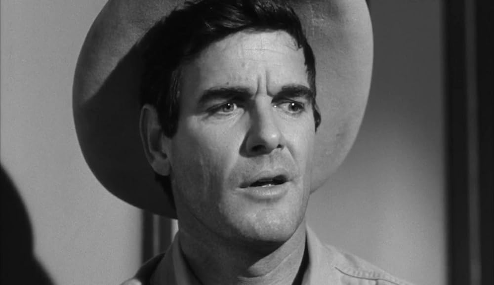 ショック集団の画像