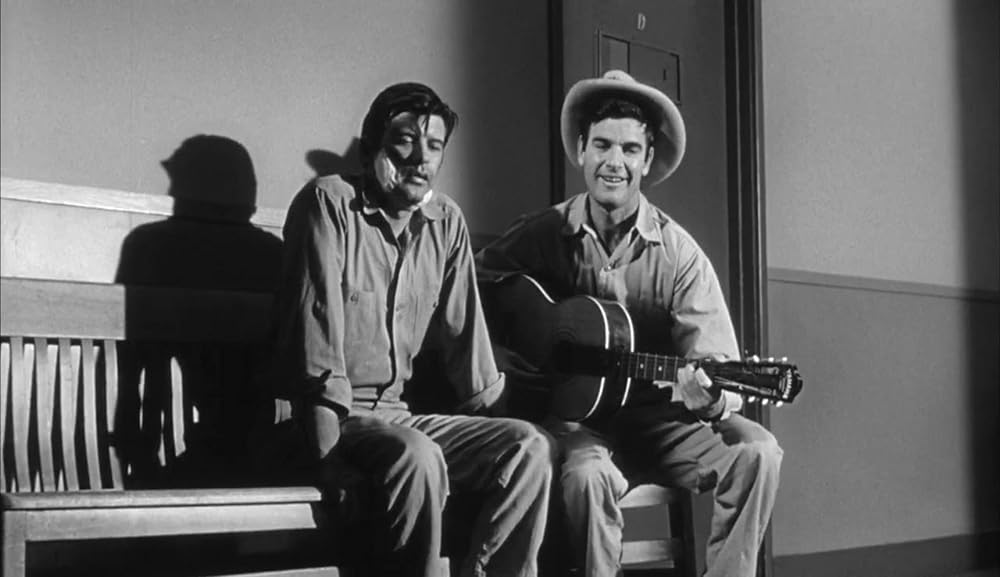 ショック集団の画像