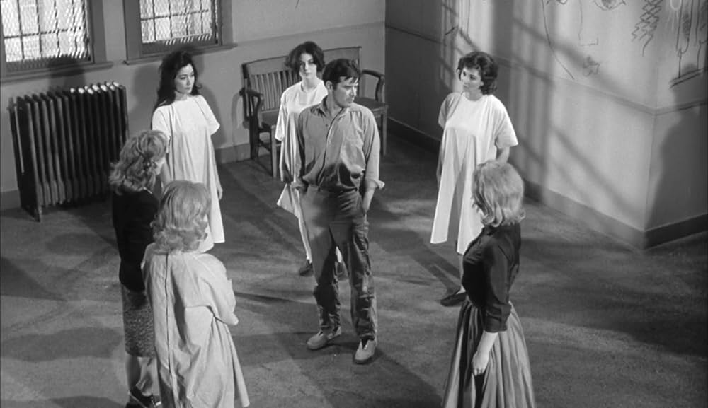 ショック集団の画像