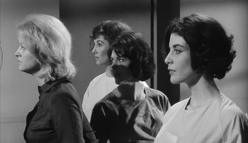 ショック集団の画像