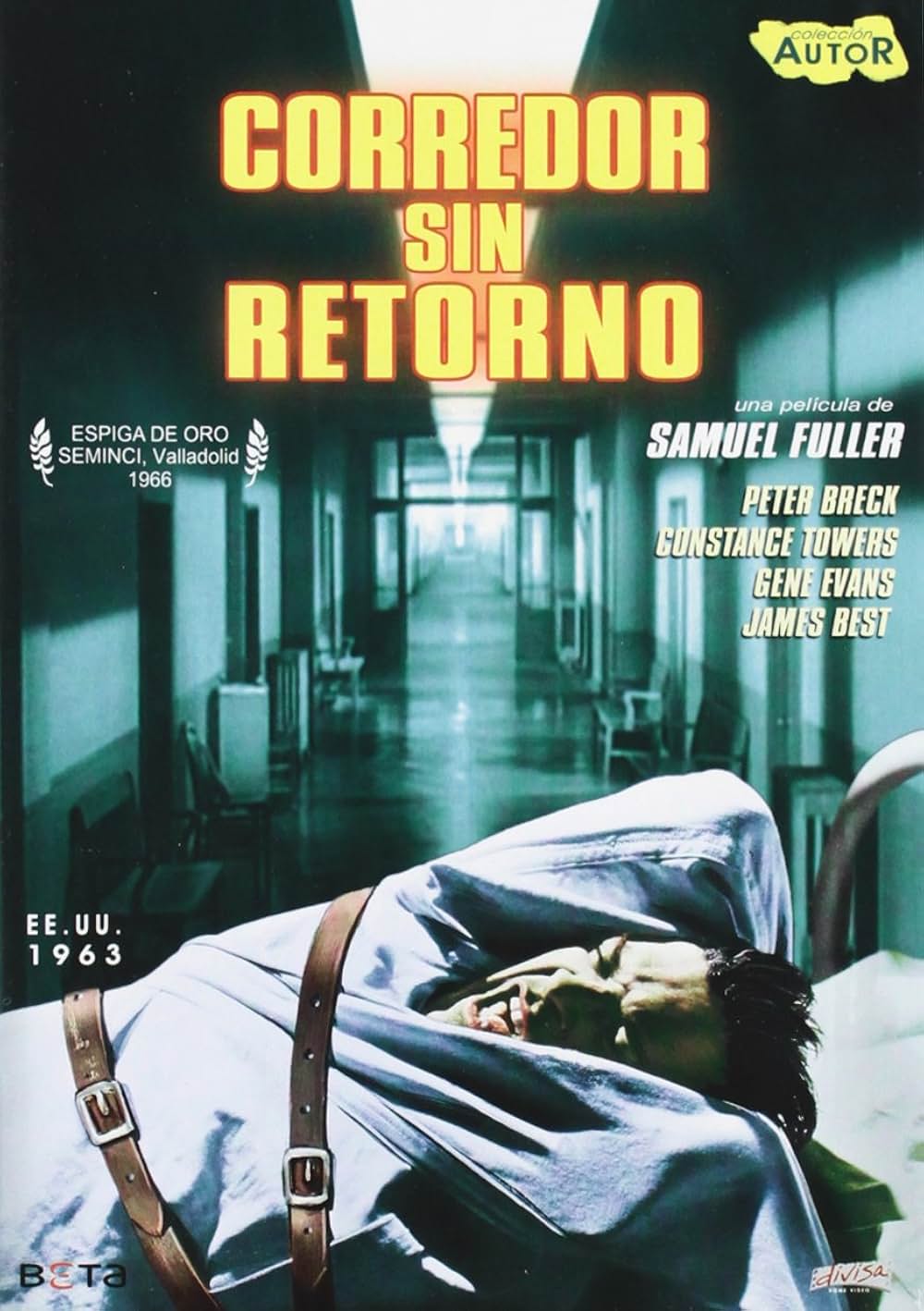 ショック集団の画像