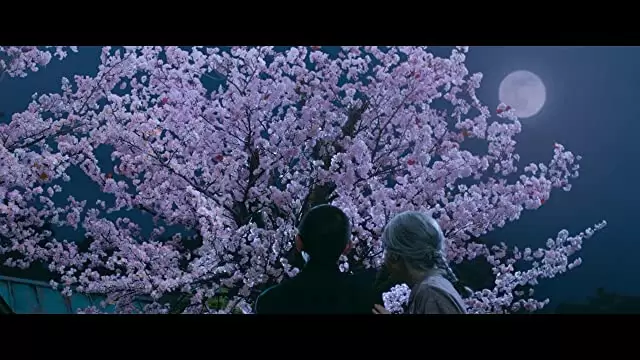 北の桜守の画像