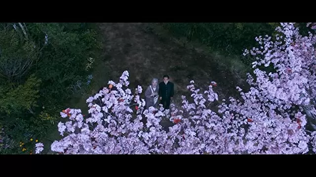 北の桜守の画像