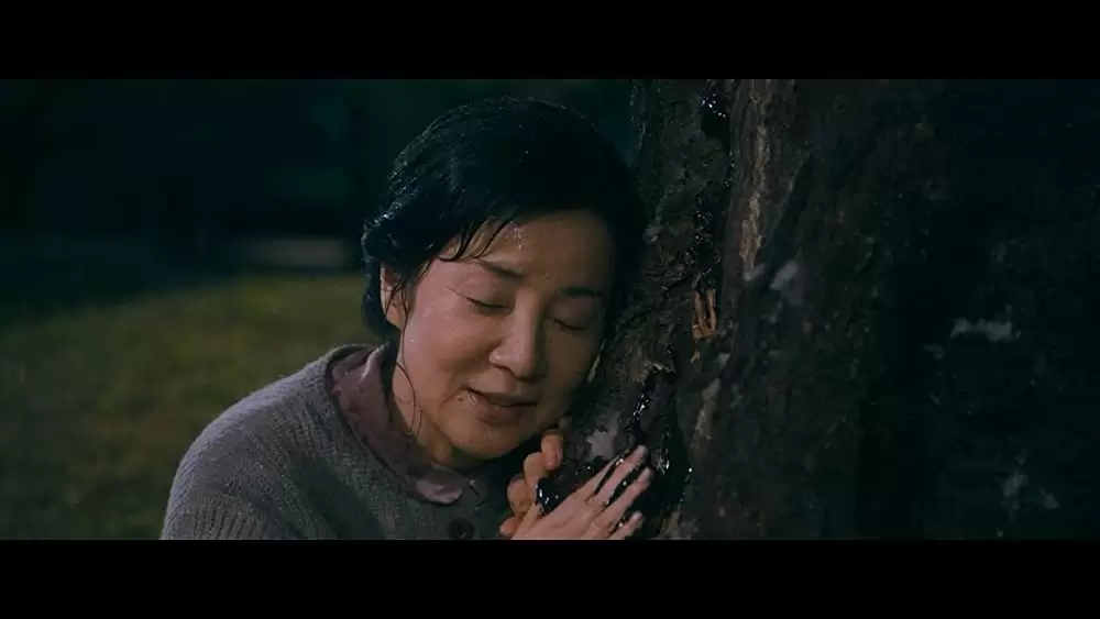 北の桜守の画像