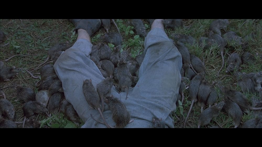 ノー・エスケイプの画像