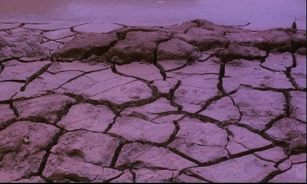 さらば箱舟の画像