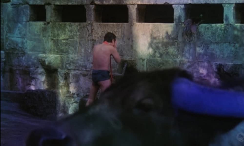 さらば箱舟の画像