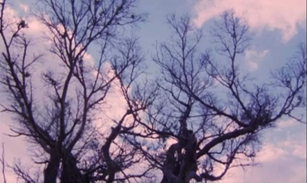 さらば箱舟の画像