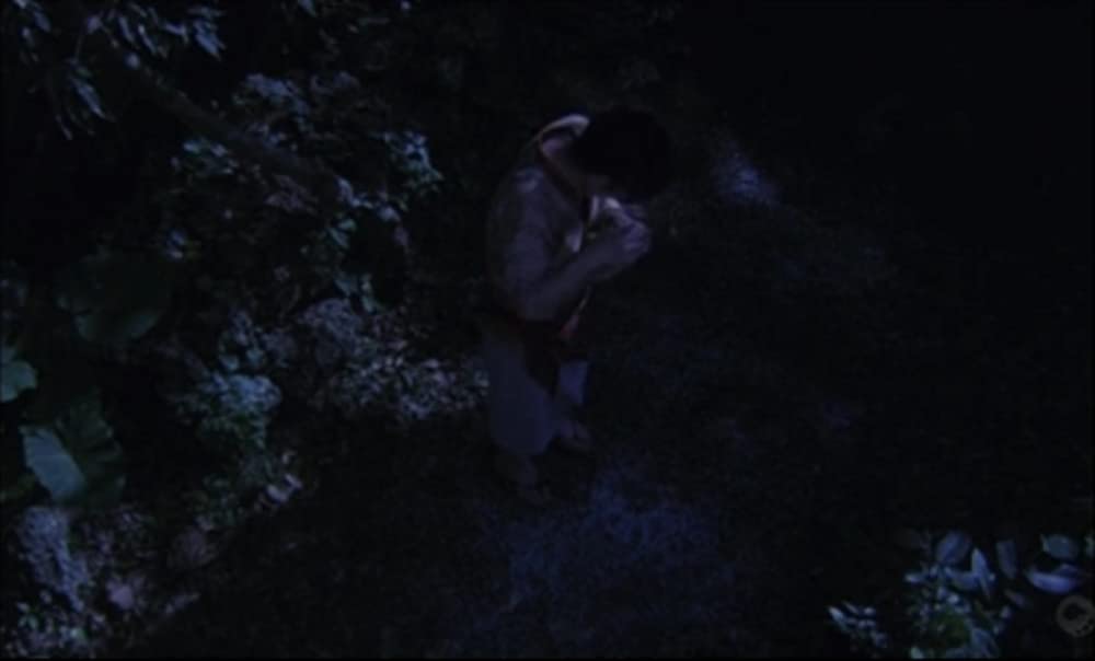 さらば箱舟の画像