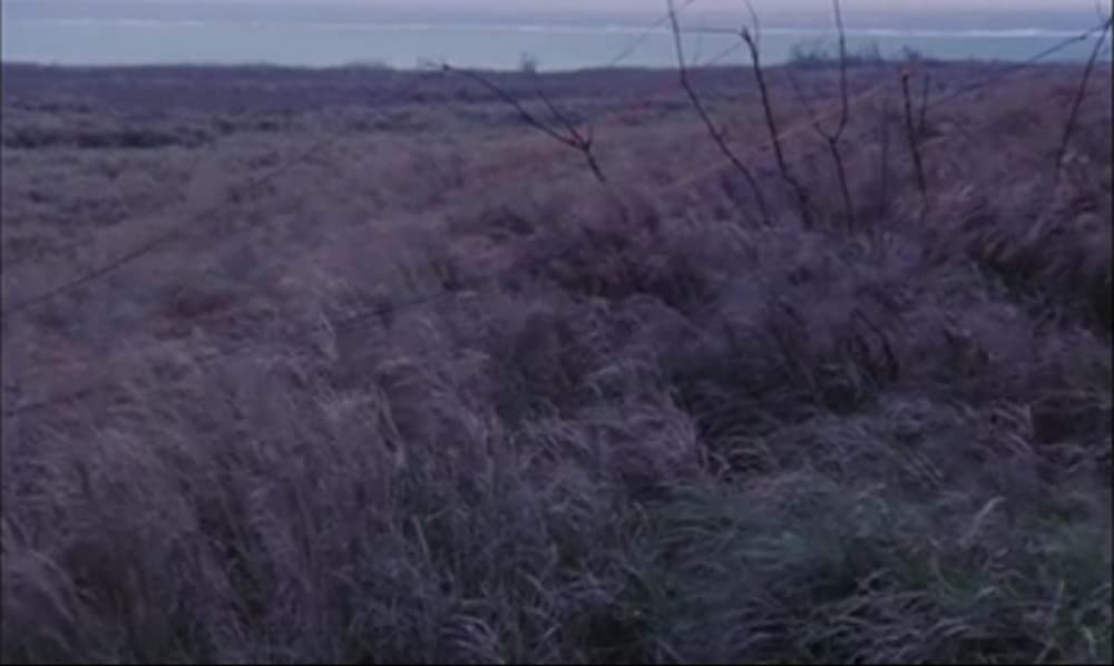 さらば箱舟の画像