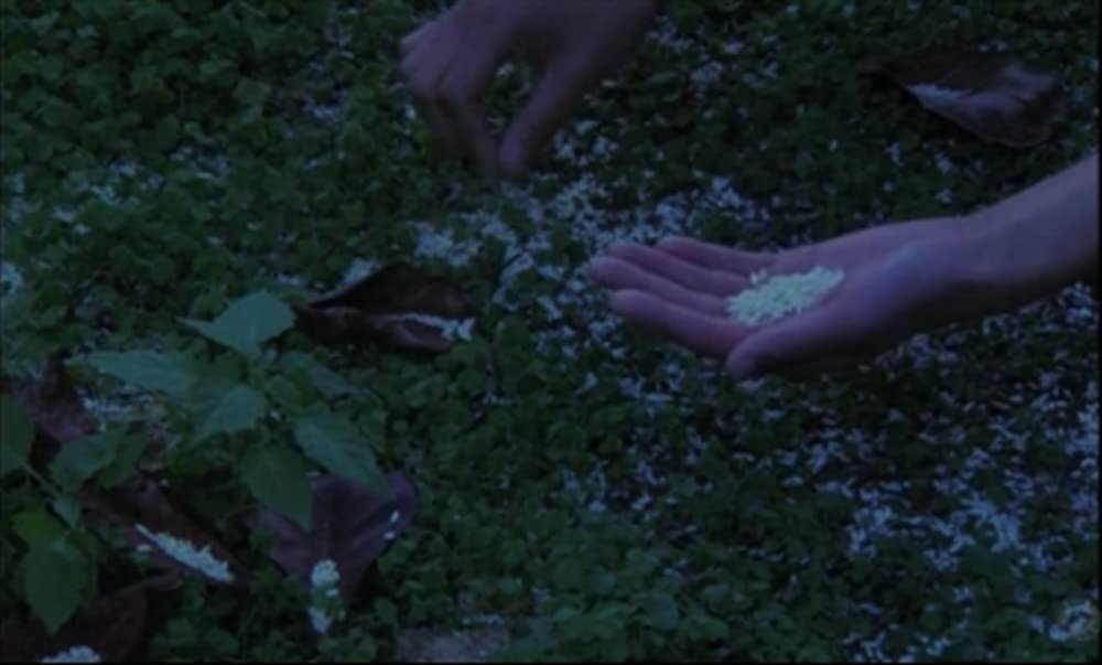 さらば箱舟の画像