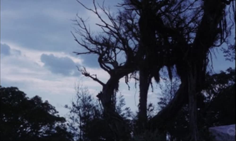 さらば箱舟の画像