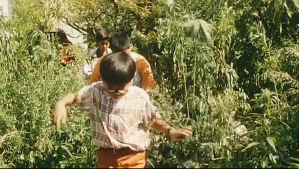 「夏の庭 The Friends」の画像