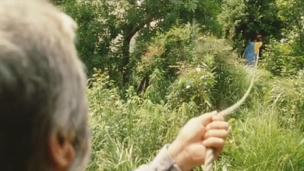 夏の庭 The Friendsの画像