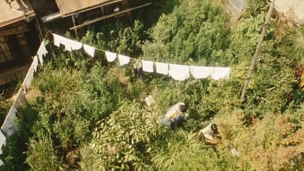 夏の庭 The Friendsの画像