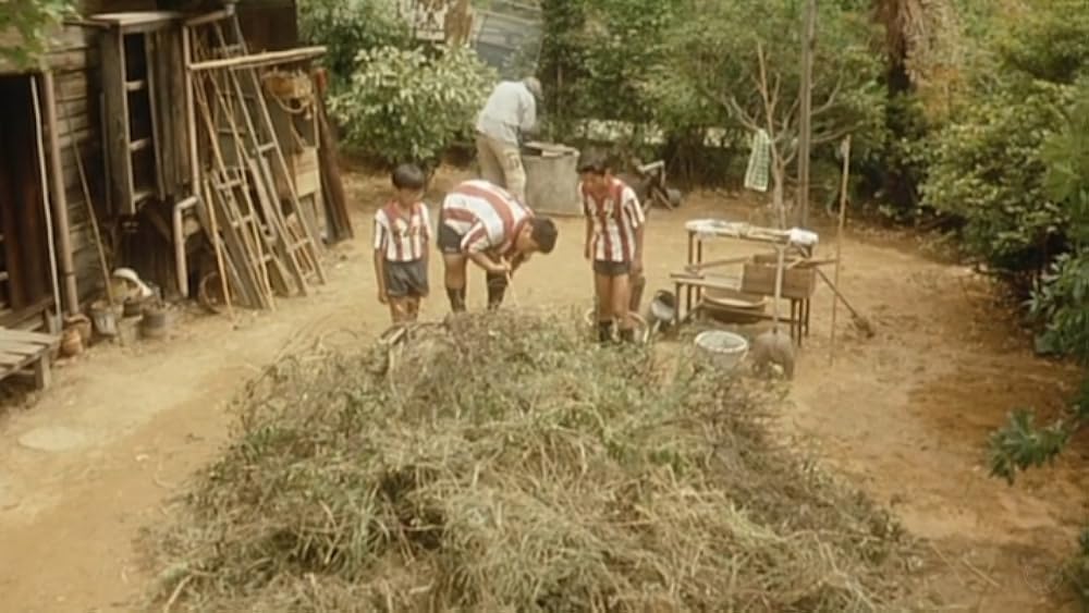 夏の庭 The Friendsの画像