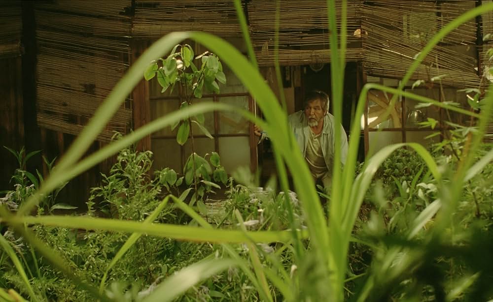 夏の庭 The Friendsの画像