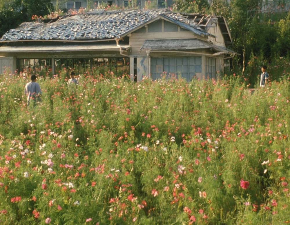 夏の庭 The Friendsの画像