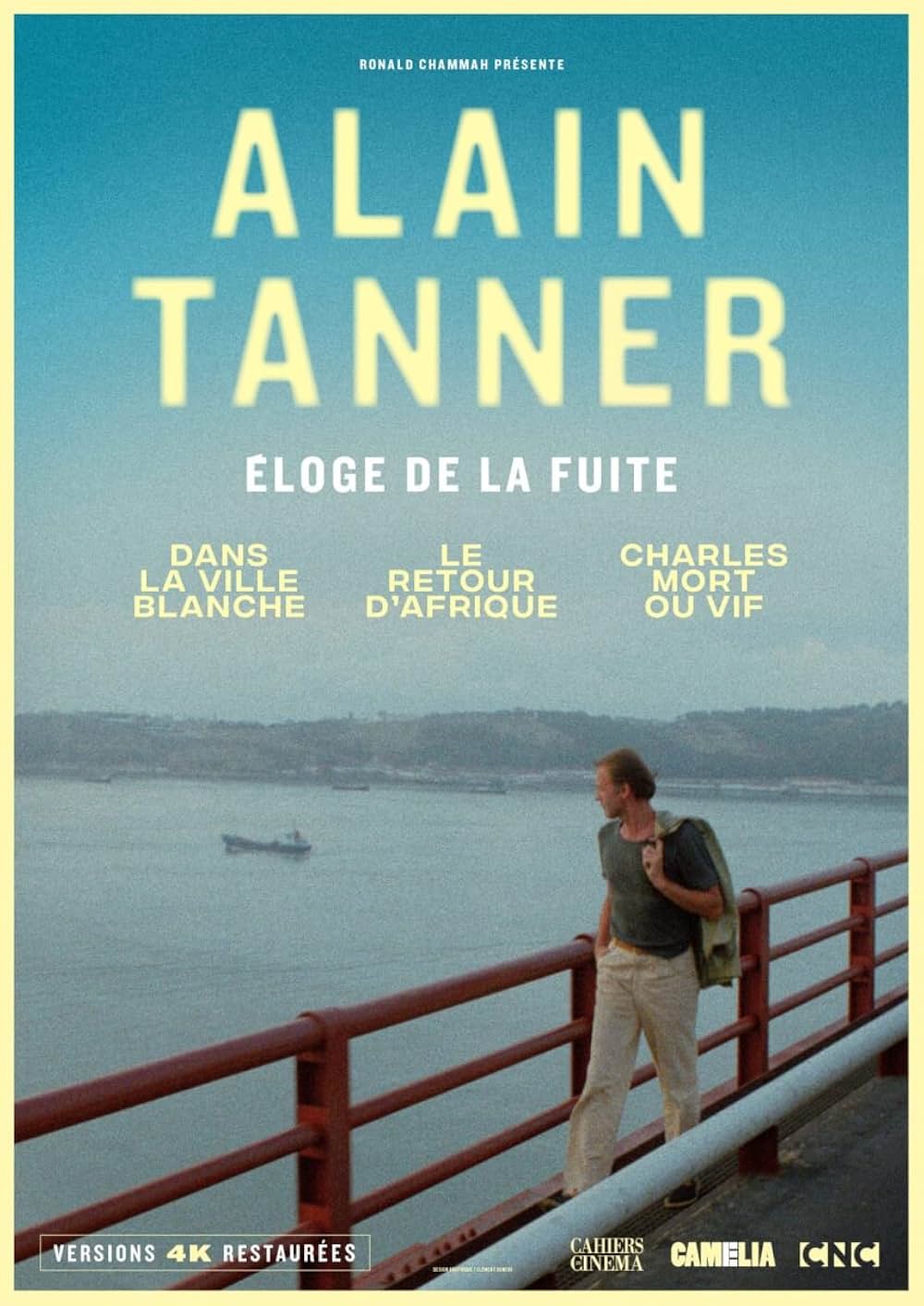 白い町での画像