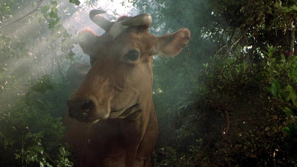 マスターズ／超空の覇者の画像