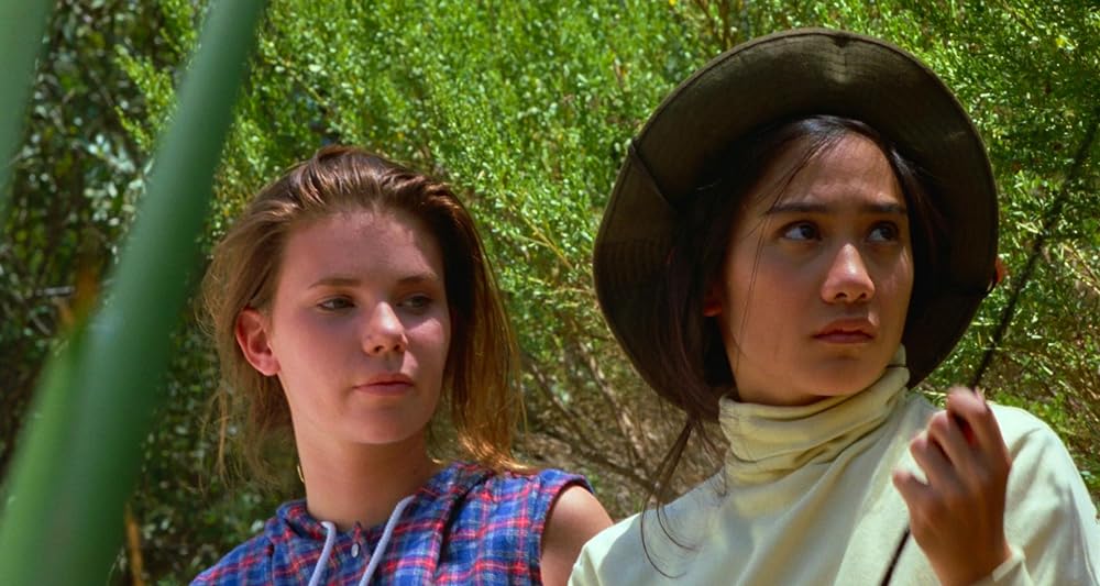 ティックスの画像