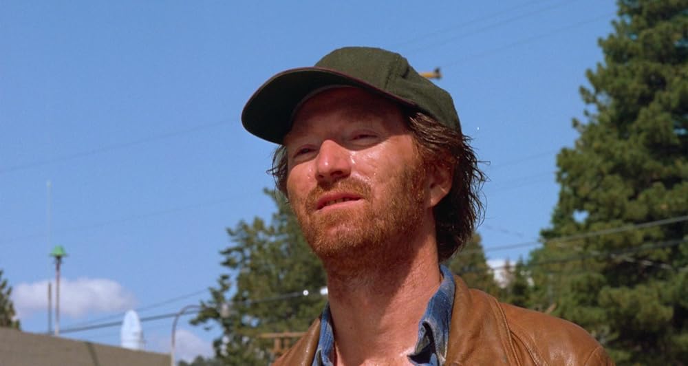 ティックスの画像