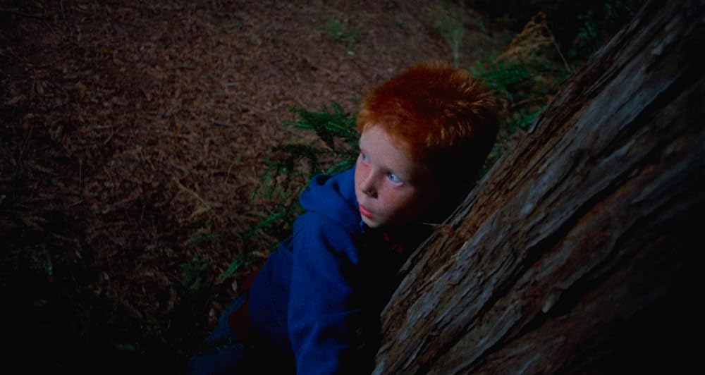 ティックスの画像