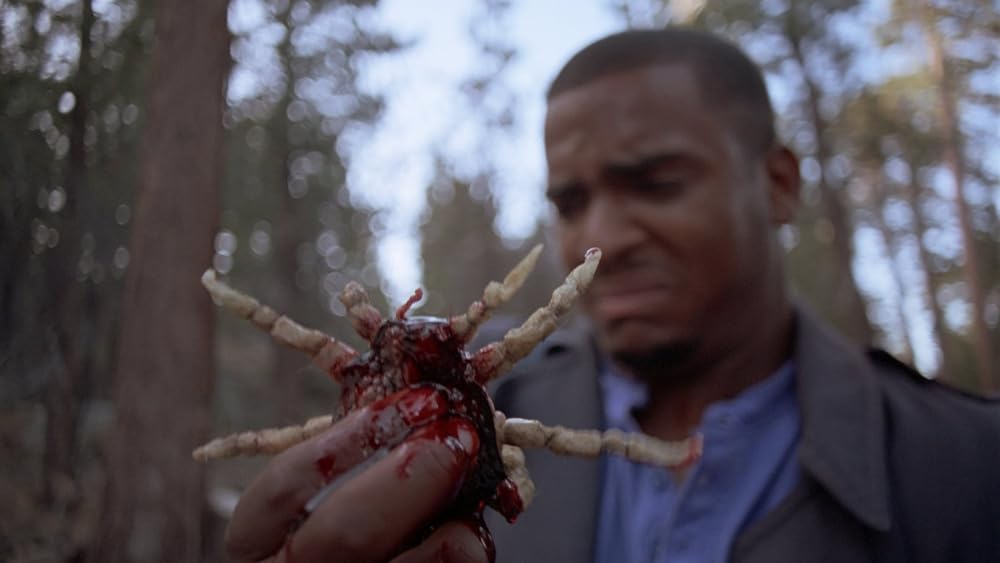 ティックスの画像