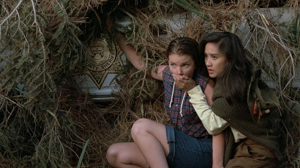 ティックスの画像