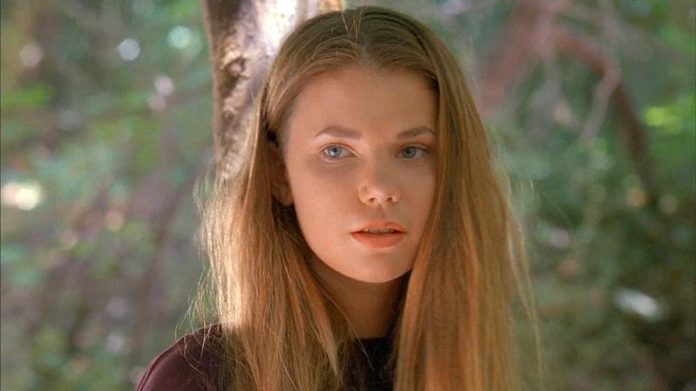 ティックスの画像