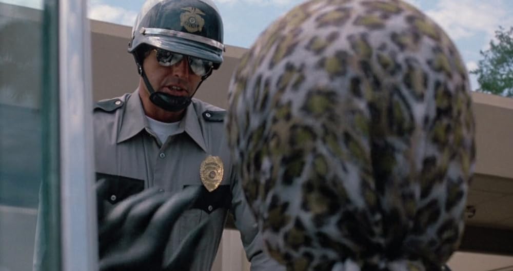 エルヴァイラの画像