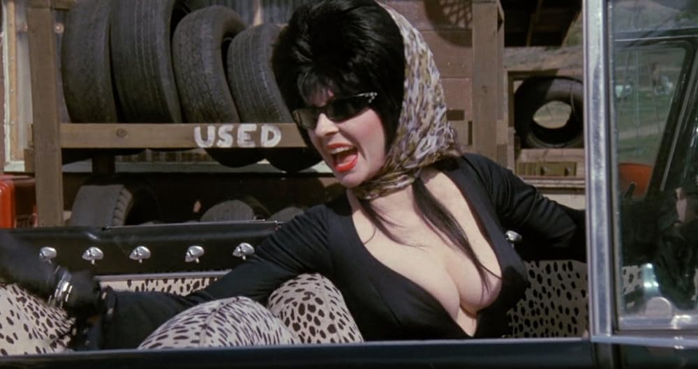 エルヴァイラの画像