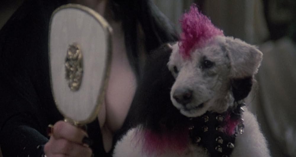 エルヴァイラの画像