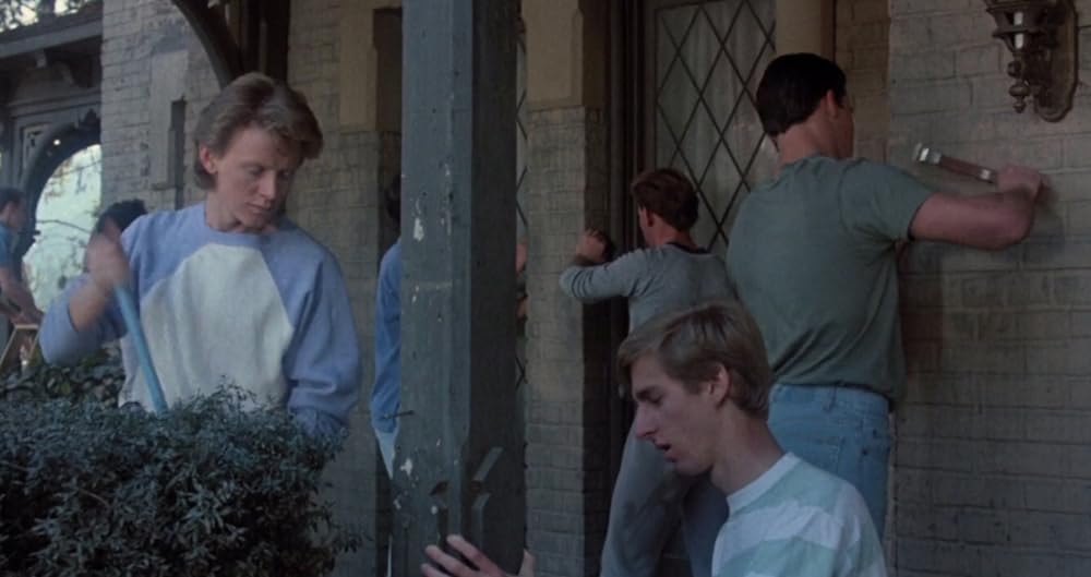 エルヴァイラの画像