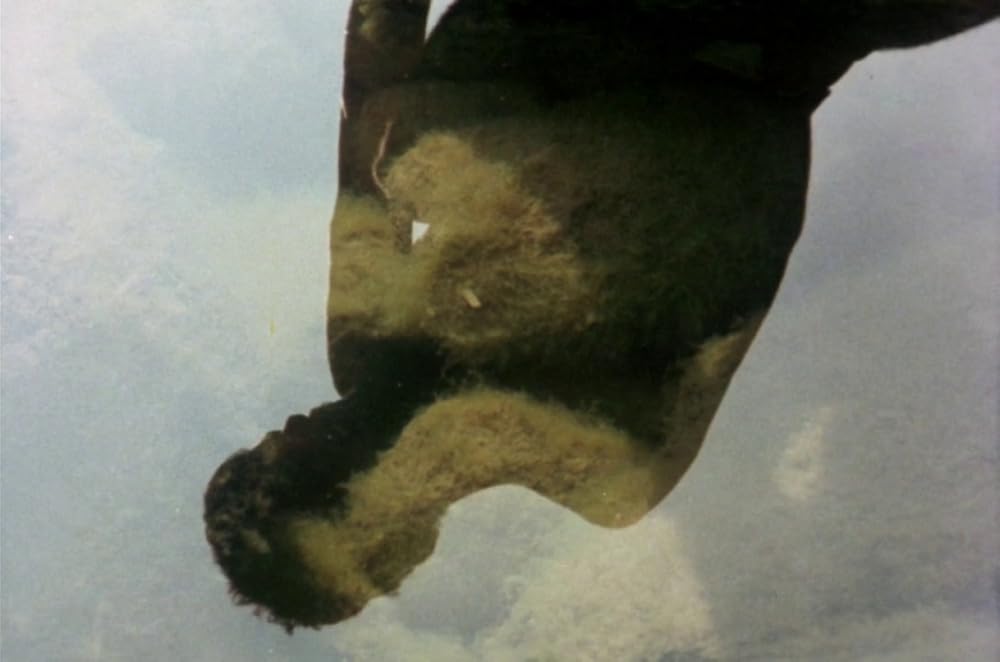 セバスチャンの画像