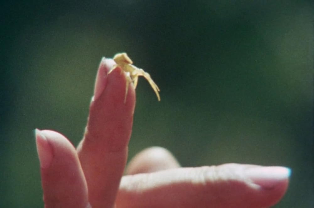 セバスチャンの画像