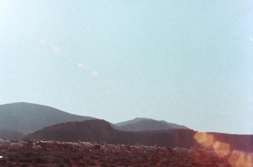 セバスチャンの画像