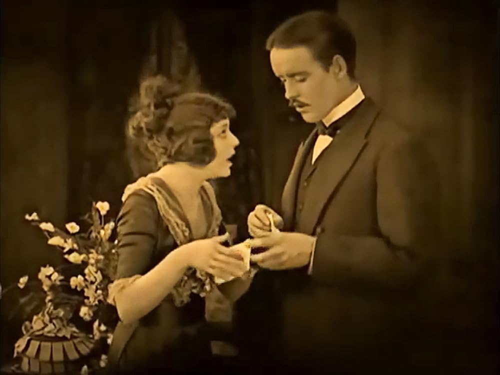 スージーの真心の画像