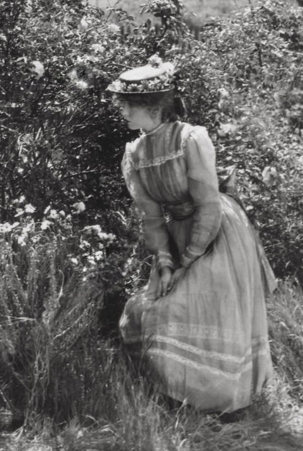 スージーの真心の画像