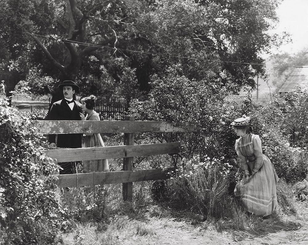 スージーの真心の画像