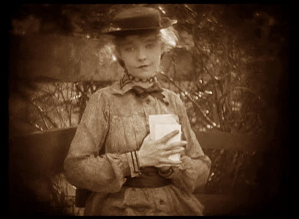 スージーの真心の画像