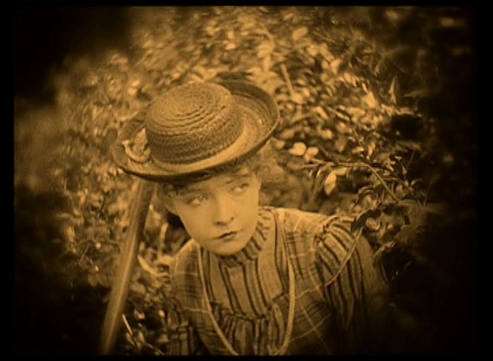 スージーの真心の画像