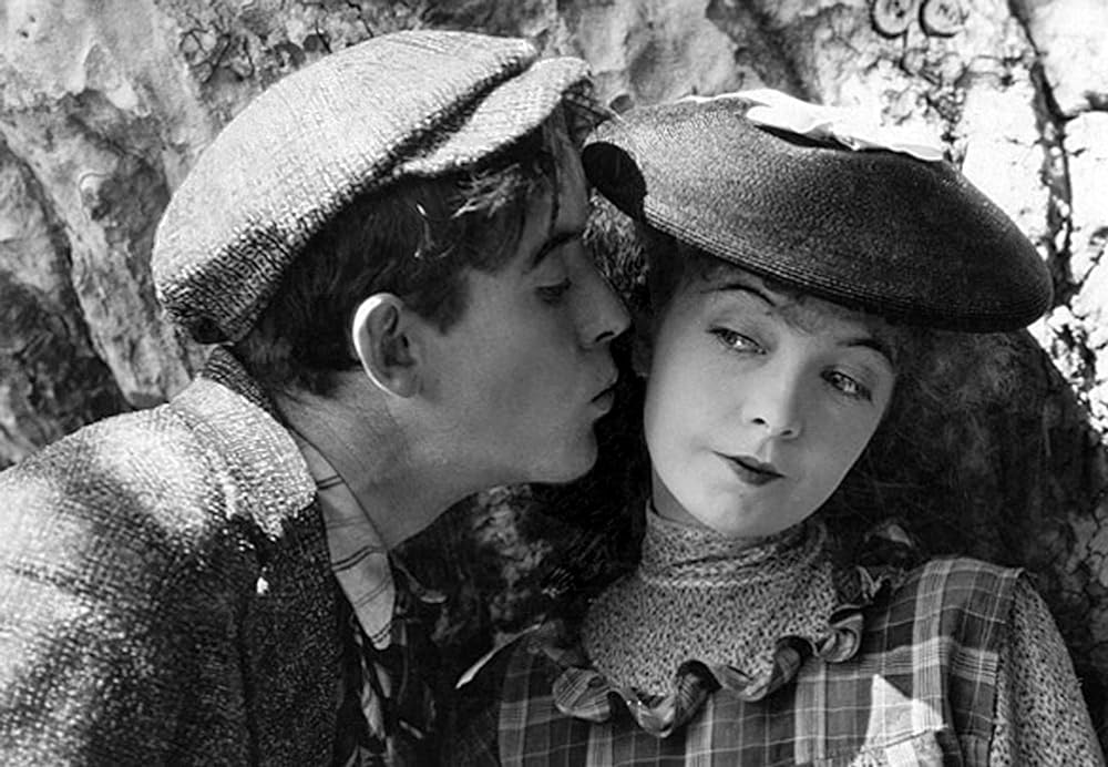 スージーの真心の画像