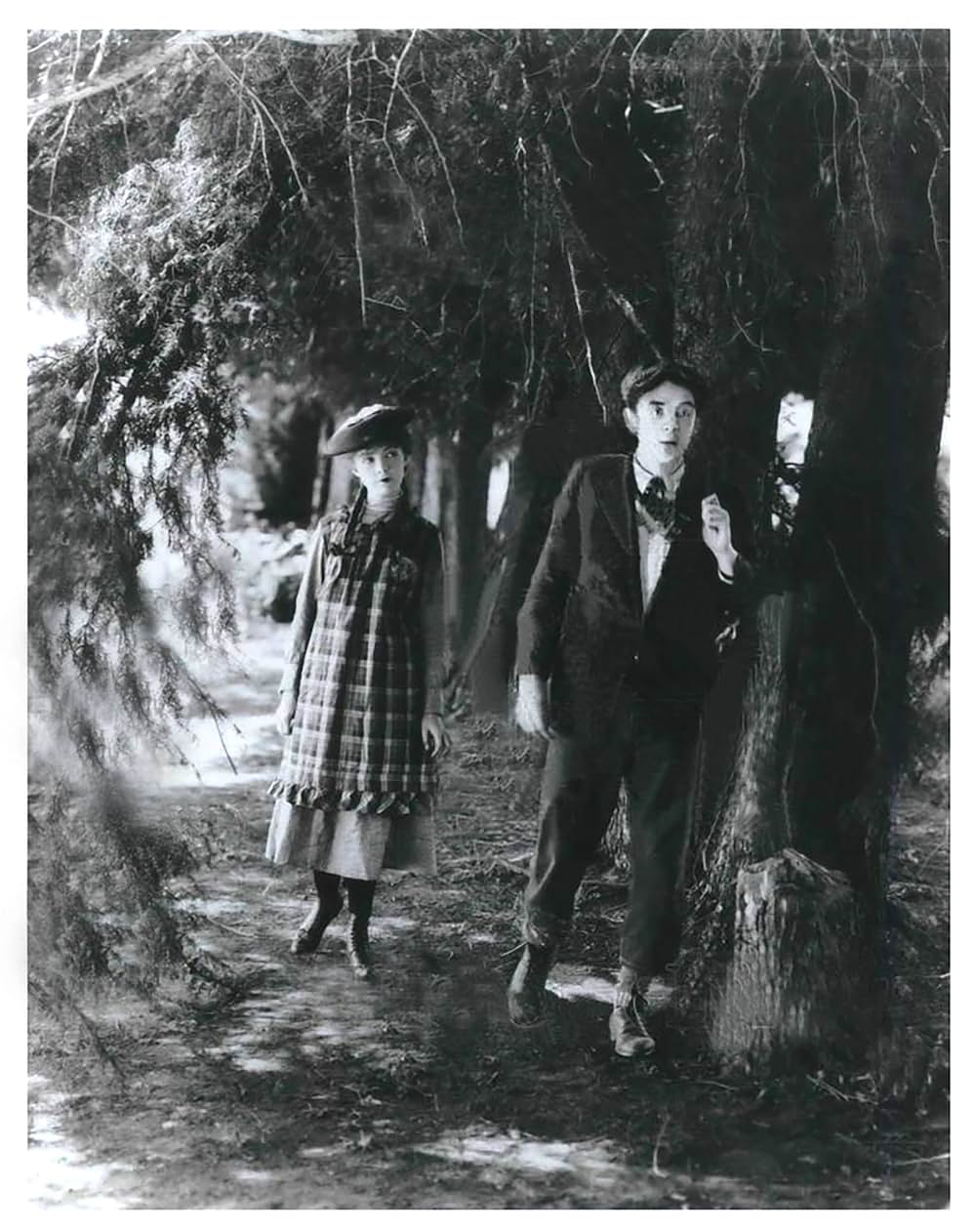 スージーの真心の画像