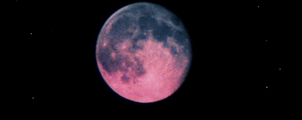 ウルフェンの画像