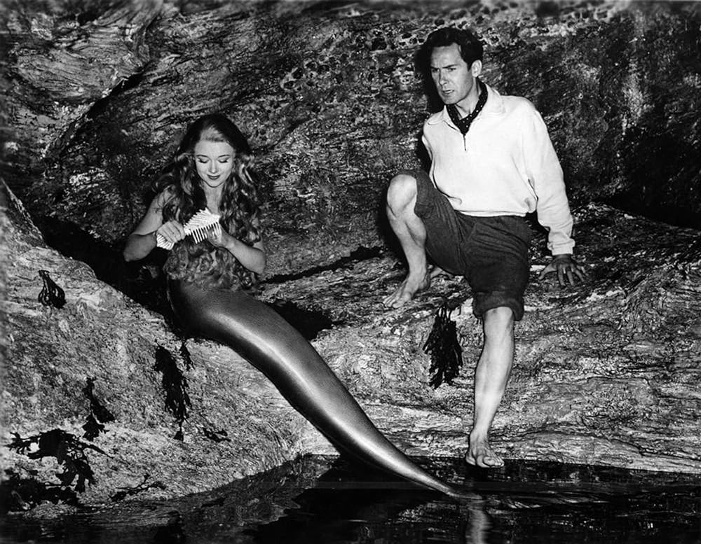 恋の人魚の画像