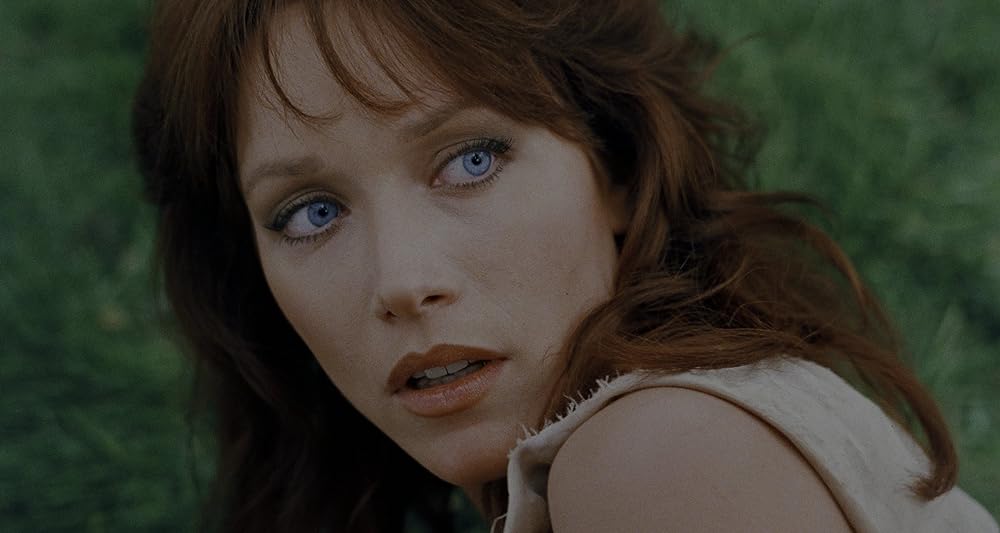 ミラクルマスター／七つの大冒険の画像